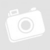 Alarm Interactive Training